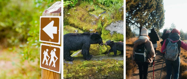 Larch Season, Done Right: A Note on Parking, Crowds, and Leaving No Trace
