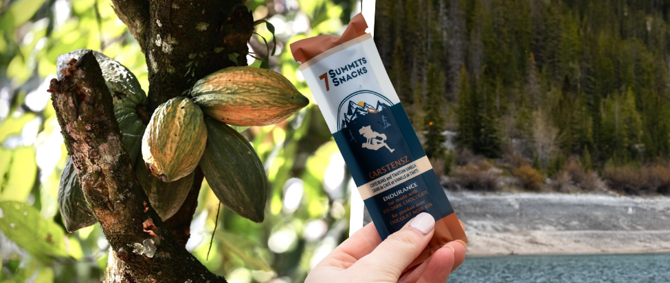 How We Give Back to The Planet with Chocolate