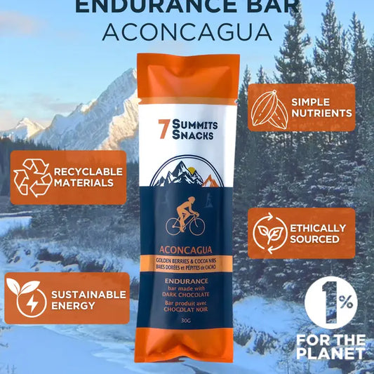 Aconcagua Endurance Bars - MASTER CASE